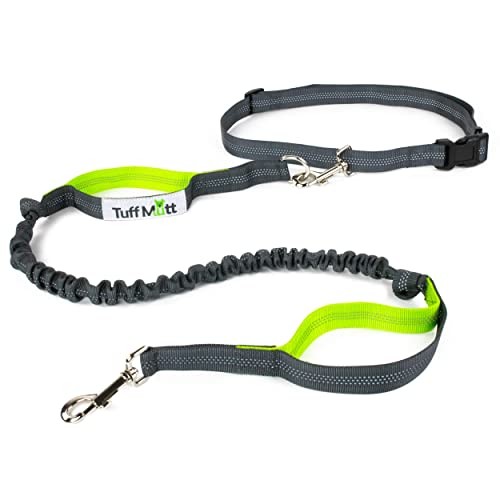 9 Best Waist Dog Leashes