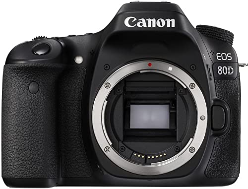 EOS 80D Dual Pixel