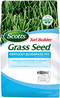 Scotts Turf Builder Kentucky Bluegrass