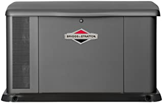 Briggs & Stratton 40336