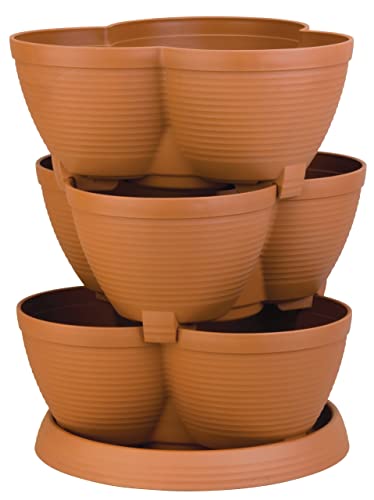 9 Best Tiered Planters