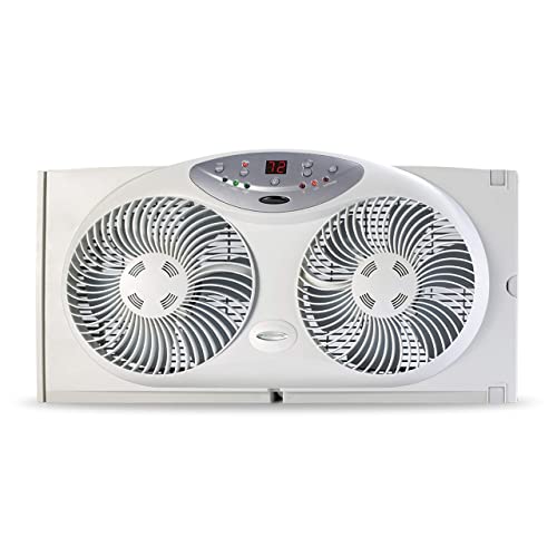 10 Best Box Fans