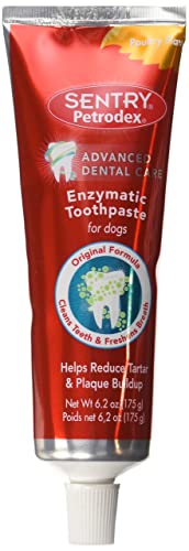 10 Best Dog Toothpastes