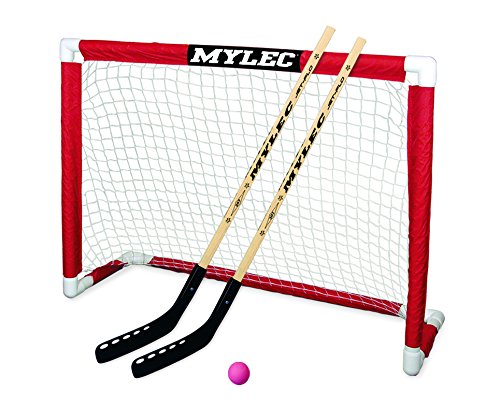 9 Best Hockey Nets