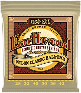 Ernie Ball Earthwood Folk