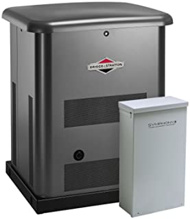 Briggs & Stratton 40531 12kW