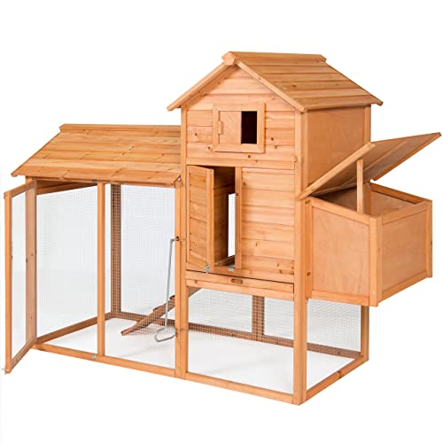 7 Best Chicken Coops