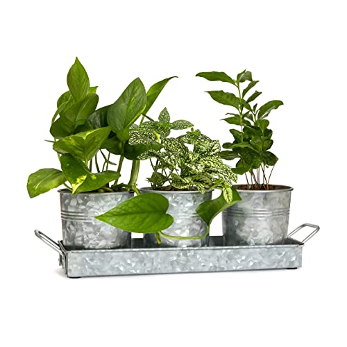 Walford Home Pot and Tray Set