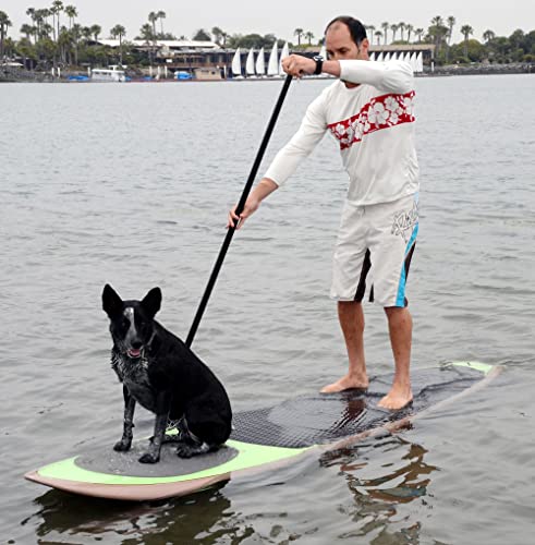 Better Surf...than Sorry Paddle with Your Dog