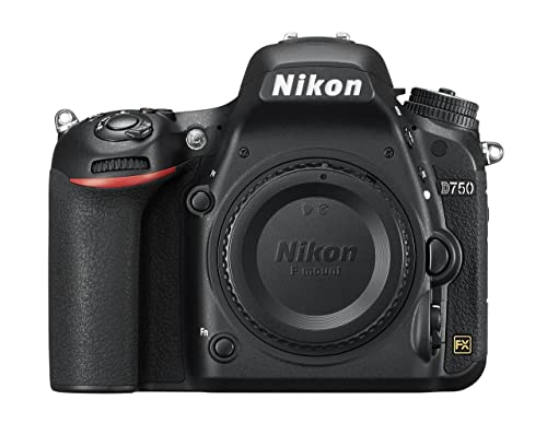 10 Best Nikon Cameras