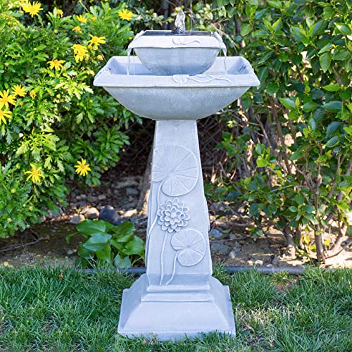 7 Best Solar Bird Bath Fountains