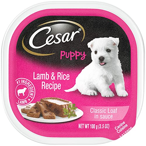 Cesar Canine Cuisine