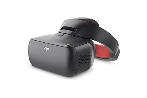 DJI Goggles