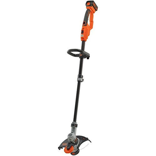 10 Best Lawn Edgers