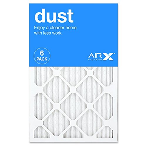 AirX Dust