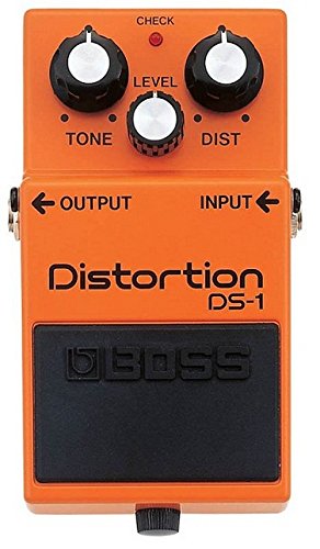 Boss Audio DS1