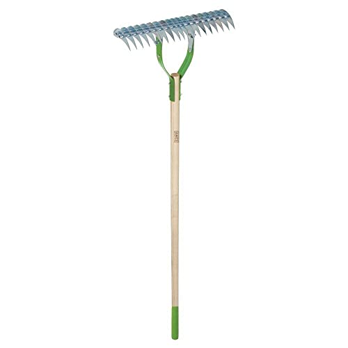 6 Best Thatch Rakes