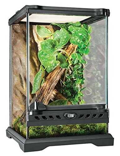 10 Best Reptile Terrariums