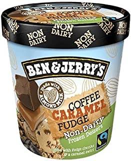 Ben & Jerry's - Non-Dairy Frozen Dessert