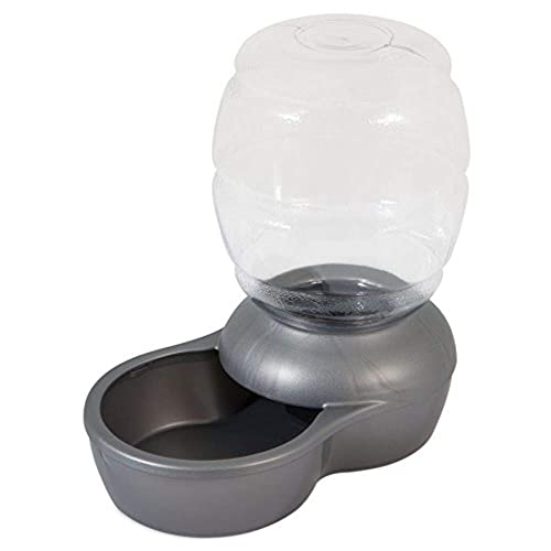 10 Best Dog Water Fountains