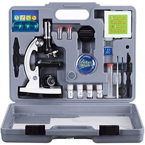 10 Best Microscopes For Kids