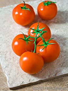 Organic Greenhouse Red On-The-Vine Tomatoes