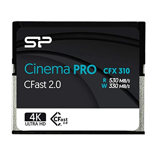 Silicon Power CFX310