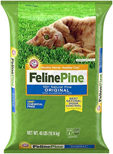 Feline Pine Original