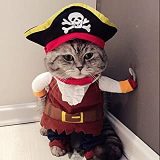 Idepet Pirate Outfit
