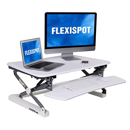 FlexiSpot Riser