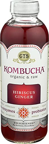 GT'S ENLIGHTENED KOMBUCHA