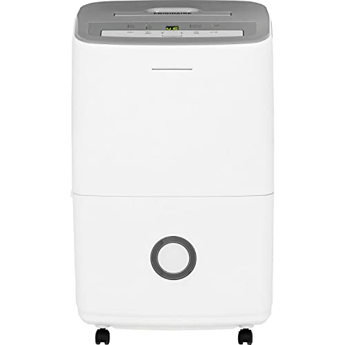 10 Best Dehumidifiers