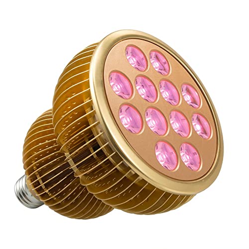 9 Best Led Grow Light Bulbs