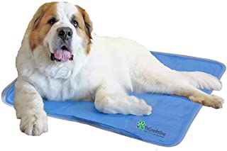 Green Pet Shop Mat