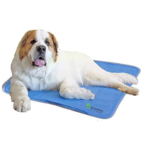 Green Pet Shop Mat