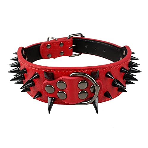 10 Best Spiked Dog Collars