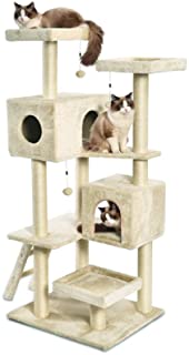 Multi-Level Cat Tree