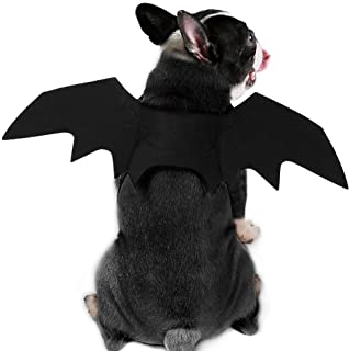 Coppthinktu Bat Wings