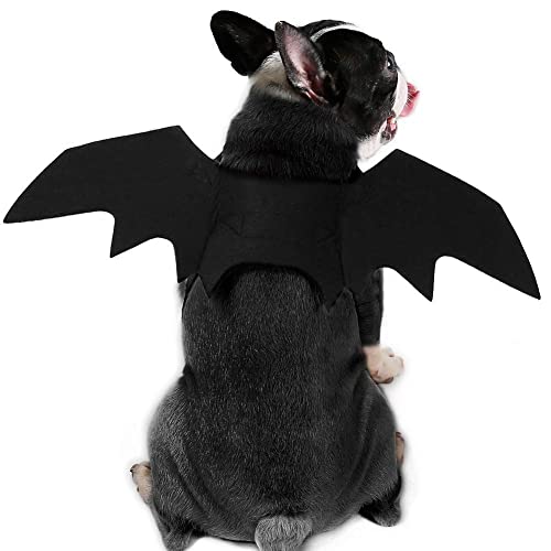 Coppthinktu Bat Wings