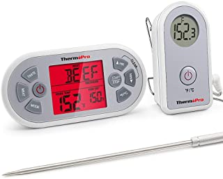 Thermo Pro TP21