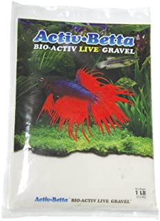 Activ Betta White