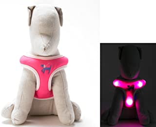 Dog-E-Glow