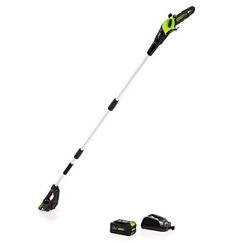 Greenworks 8-Inch Cordless