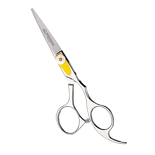 10 Best Barber Shears