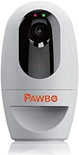 Pawbo Interactive