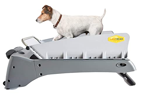 6 Best Dog Treadmills