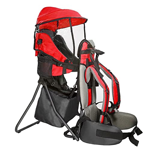 10 Best Baby Carriers For Hiking