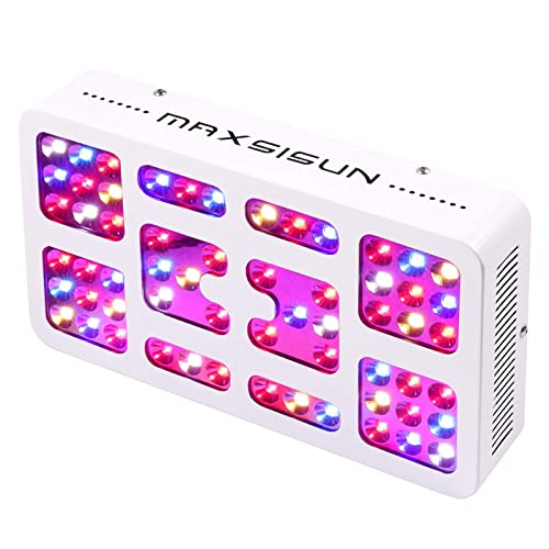 Maxsisun Dimmable MT1000