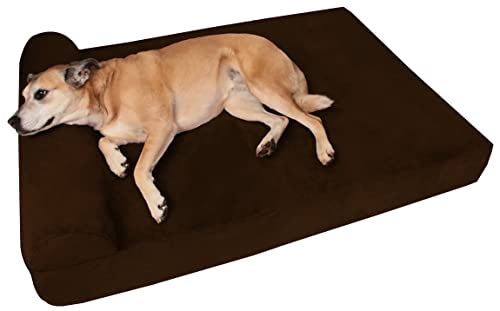 10 Best Dog Beds