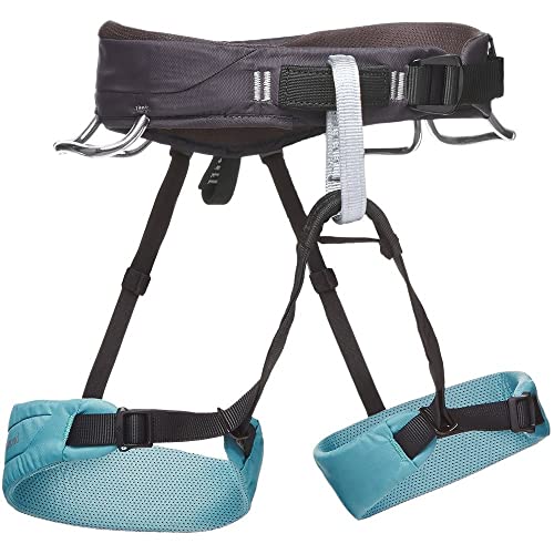 10 Best Climbing Harnesses